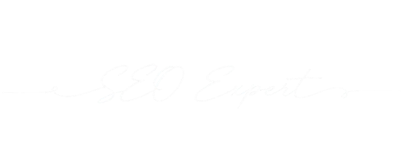 seo -expert